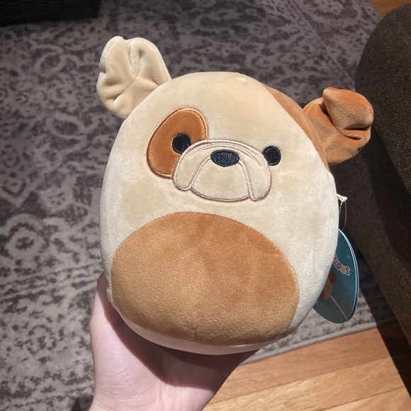 Squishmallows Toys Squishmallow Griz Bulldog 7 Poshmark